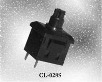 CL-028S Key Switchs